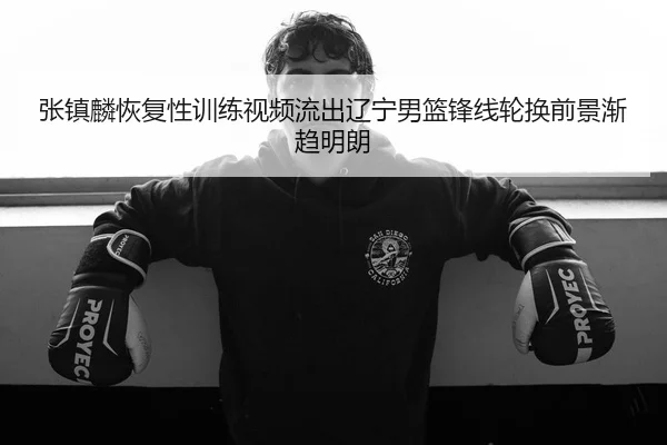 张镇麟恢复性训练视频流出辽宁男篮锋线轮换前景渐趋明朗
